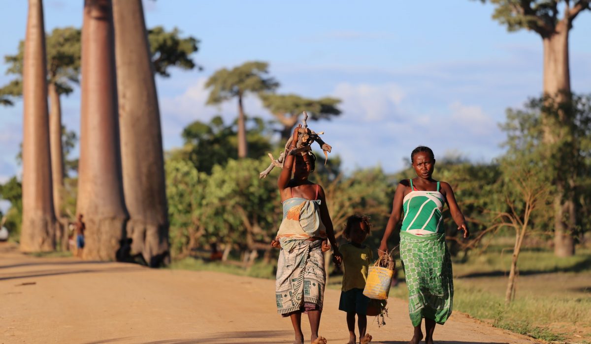 local malagasy walking in road of madagascar