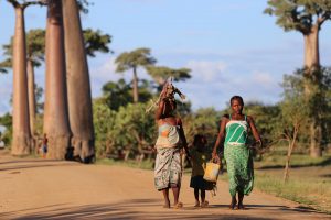 local malagasy walking in road of madagascar