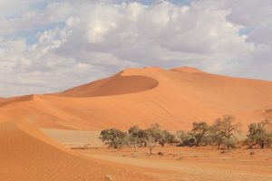picturesque namibian sand dunes