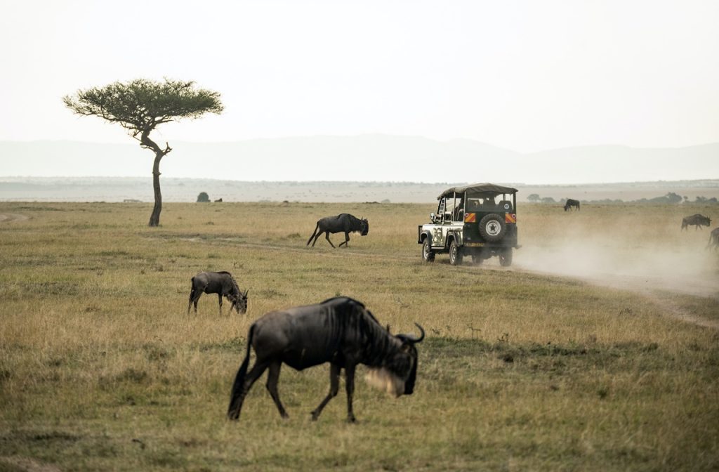 Masai Mara National Reserve, Kenya