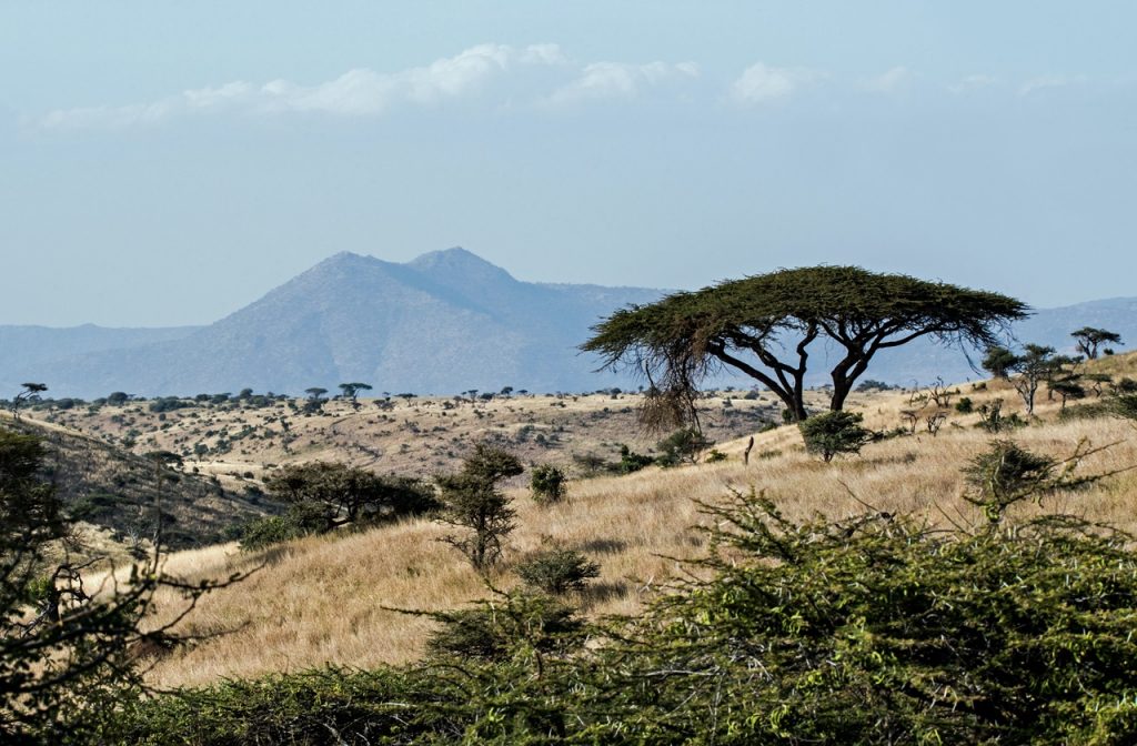 Lewa Wildlife Conservancy, Kenya