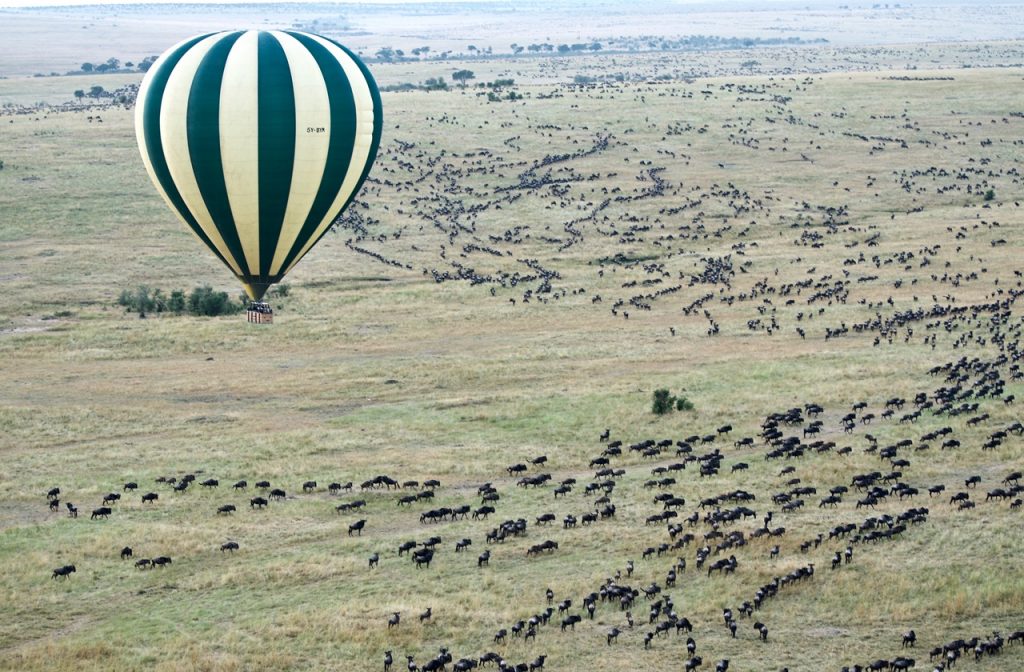 Masai Mara National Reserve, Kenya