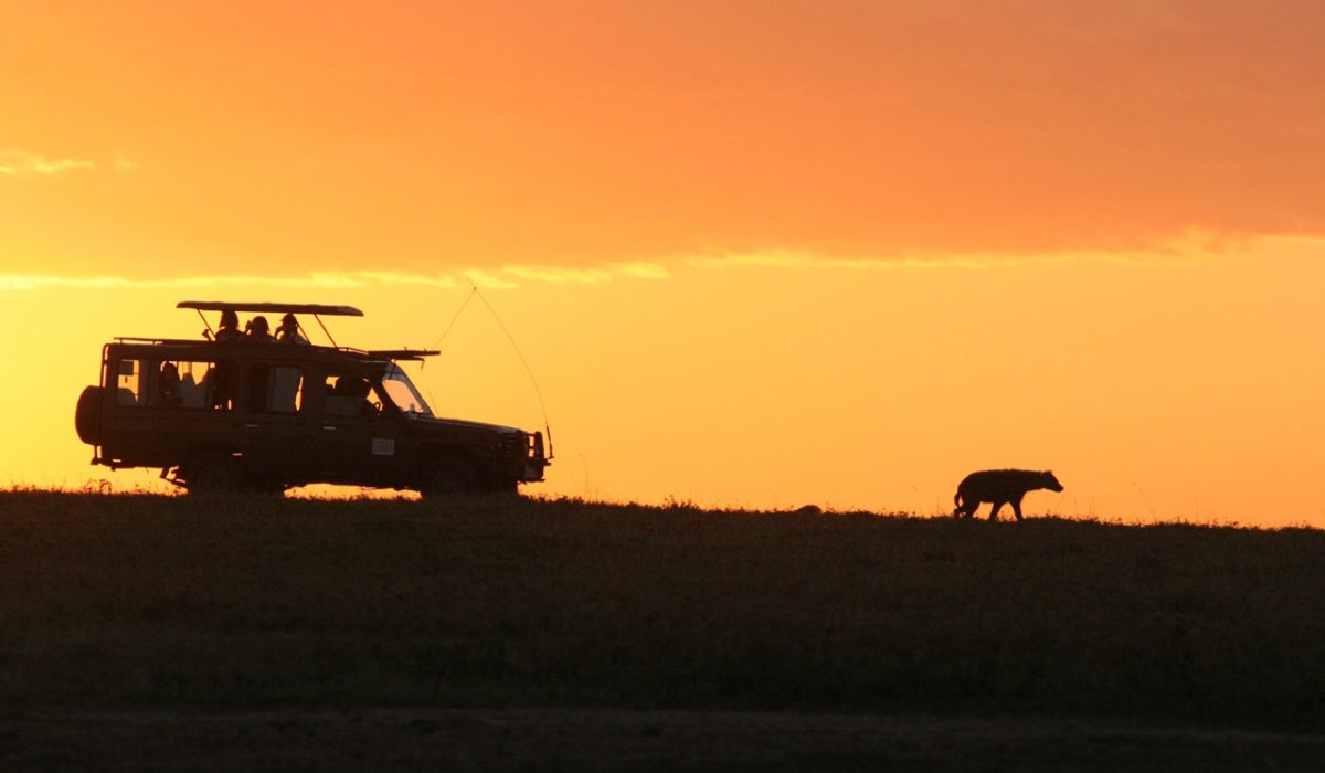 randy fath epf1tdtIIkM unsplash 1200x700 - Guide to Kenya Safari: Type, Budget, Best Tours & Tips