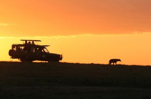 randy fath epf1tdtIIkM unsplash 300x197 - Guide to Kenya Safari: Type, Budget, Best Tours & Tips