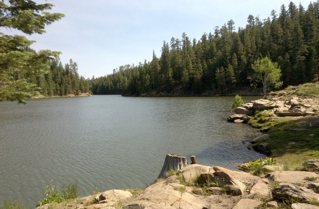 Bear Canyon Lake, one of the lakes in Arizona nestled in a forest