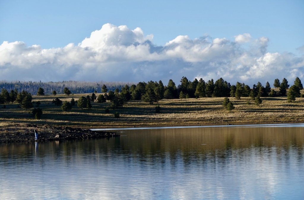 View of Big Lake's shoreline