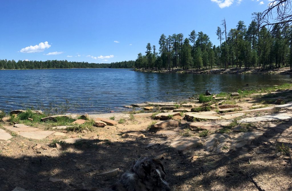 Willow Springs Lake seen from the shore