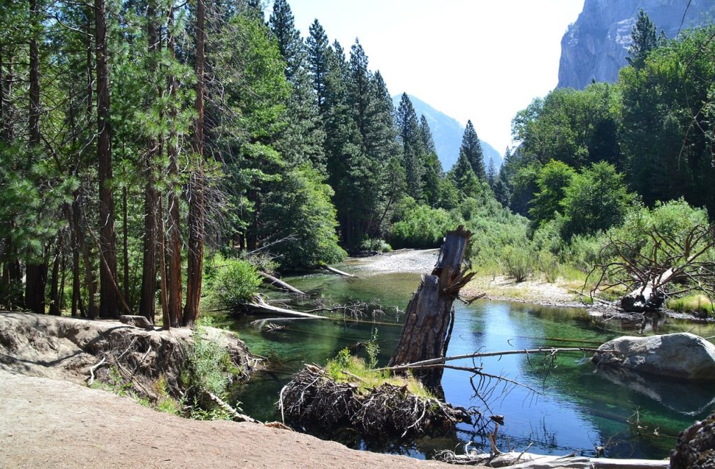 Creek in Sequoia National Park