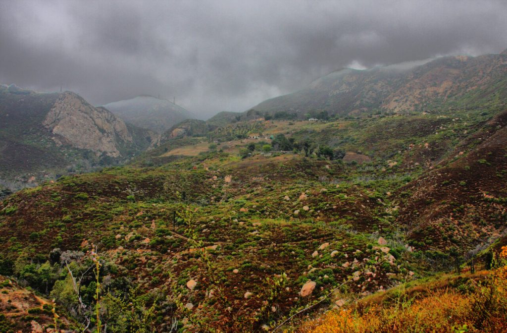 Plantation and gloomy skies in the Solstice Canyon Loop