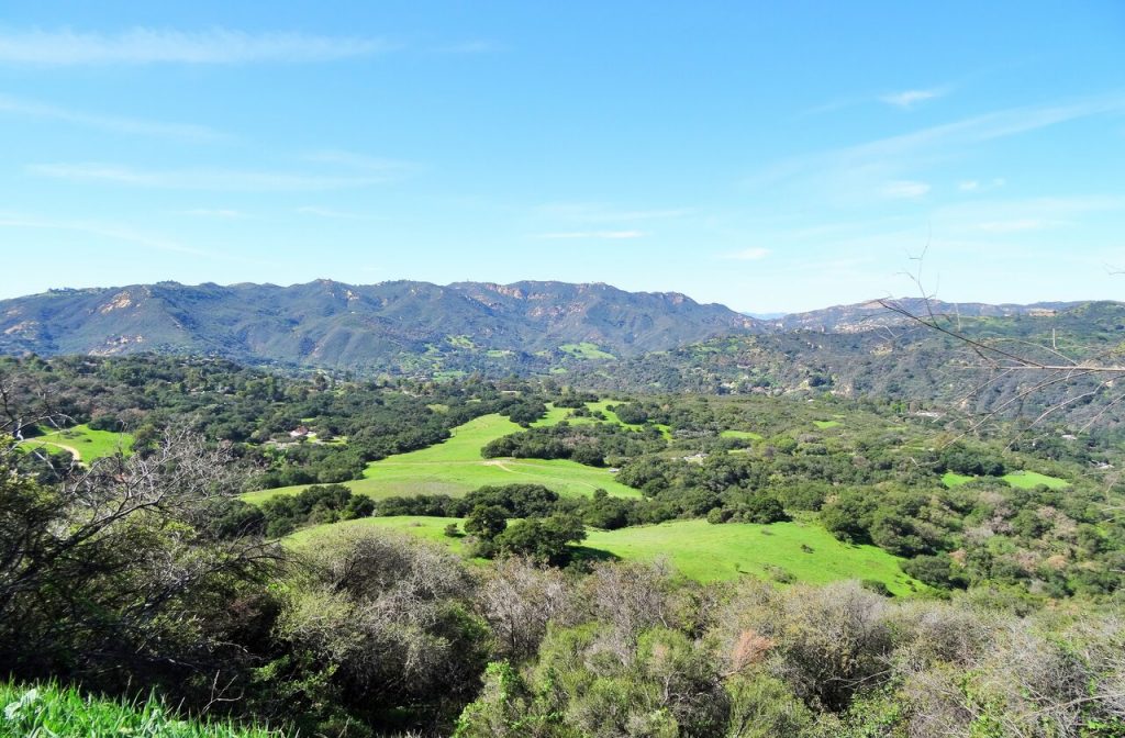 View of the Topanga State park from the Los Liones Trail