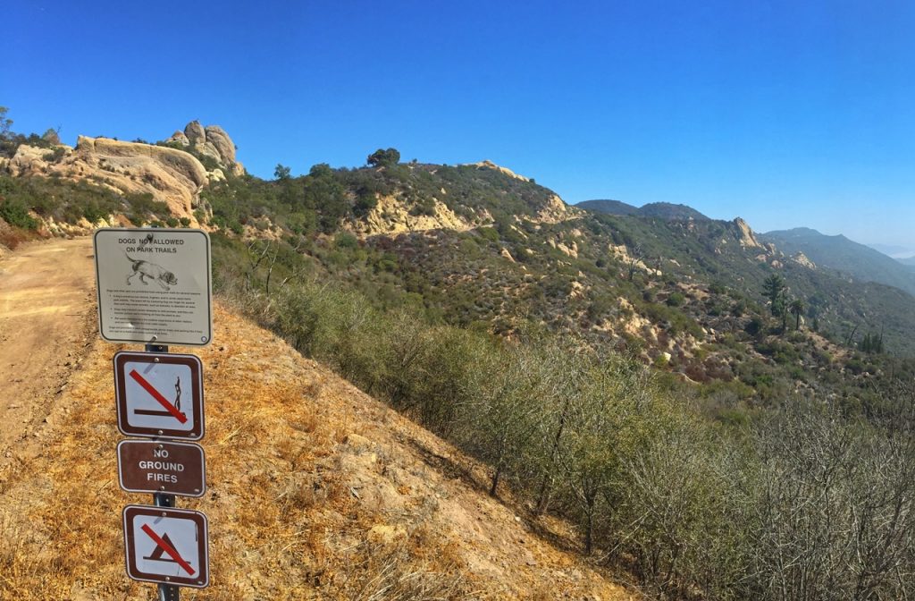 Scenic view at Corral Canyon Park