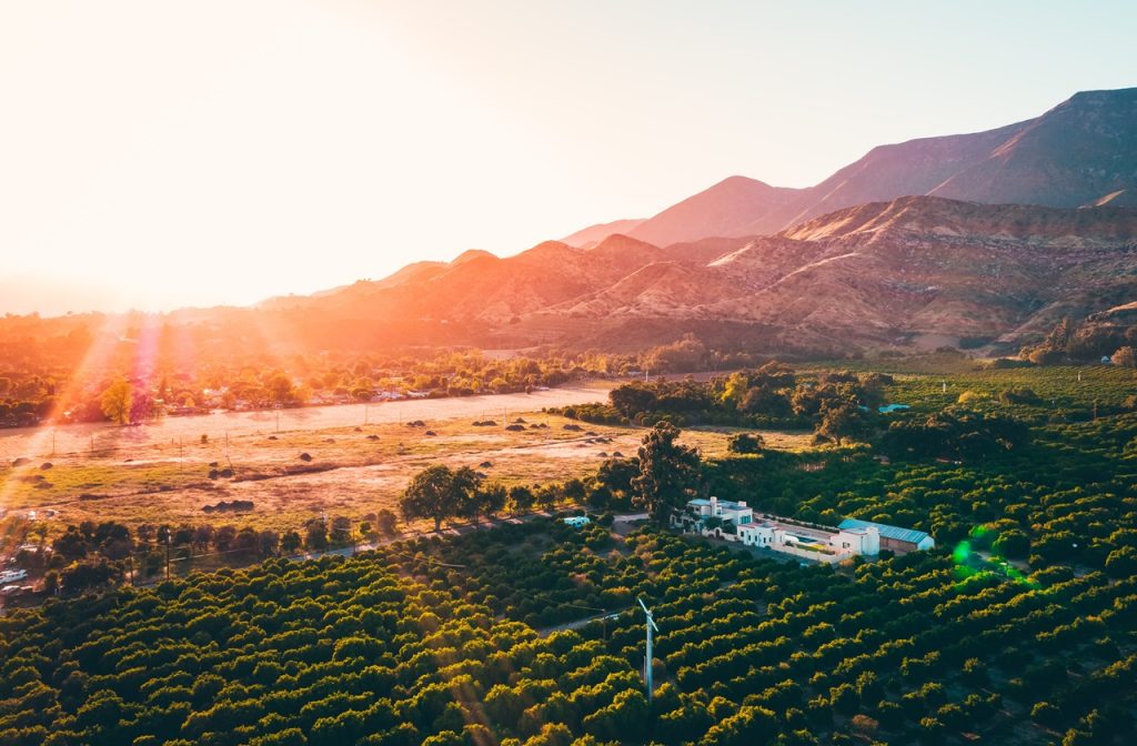 Indulge in one of the most relaxing day trips from Los Angeles at the farms of Ojai