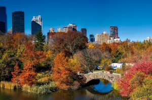 Fall foliage giving Central Park New York a pop of color
