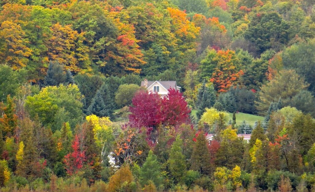 Charlevoix covered in autumn foliage