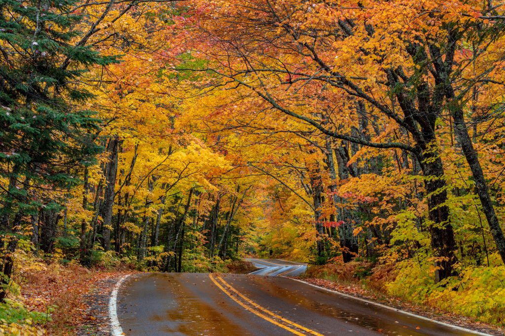 copper harbor fall colors 1024x683 - 23 Best Places to See Peak Michigan Fall Colors