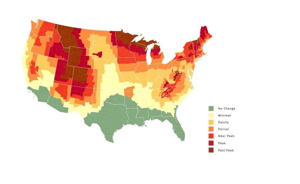 Fall foliage prediction during the first week of October, Michigan fall colors map 2021 Fall foliage prediction during the first week of October, Michigan fall colors map 2021