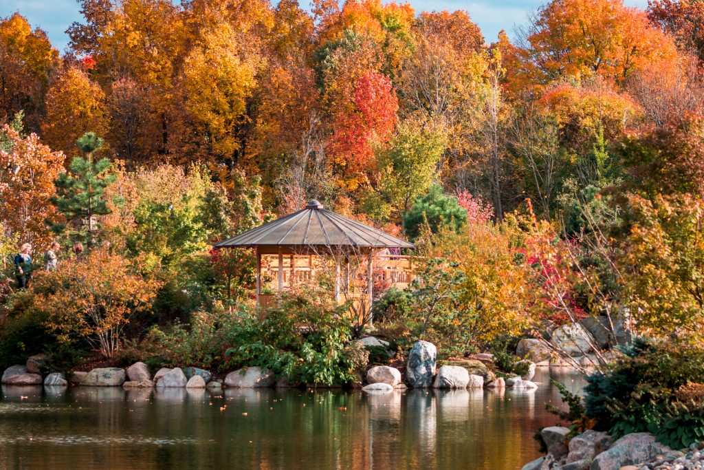 Japanese gardens at the Frederik Meijer Gardens during the autumn months