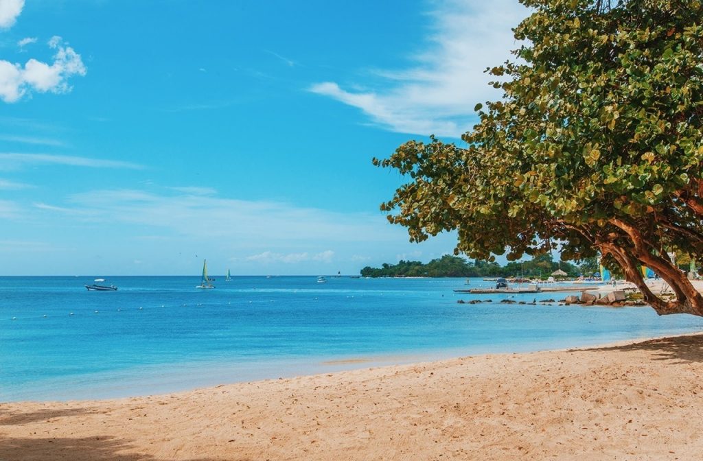 Clear waters at Hedonism II's shores