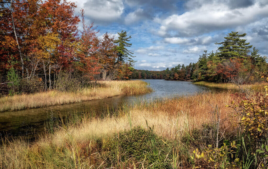 Autumn view of Ludington