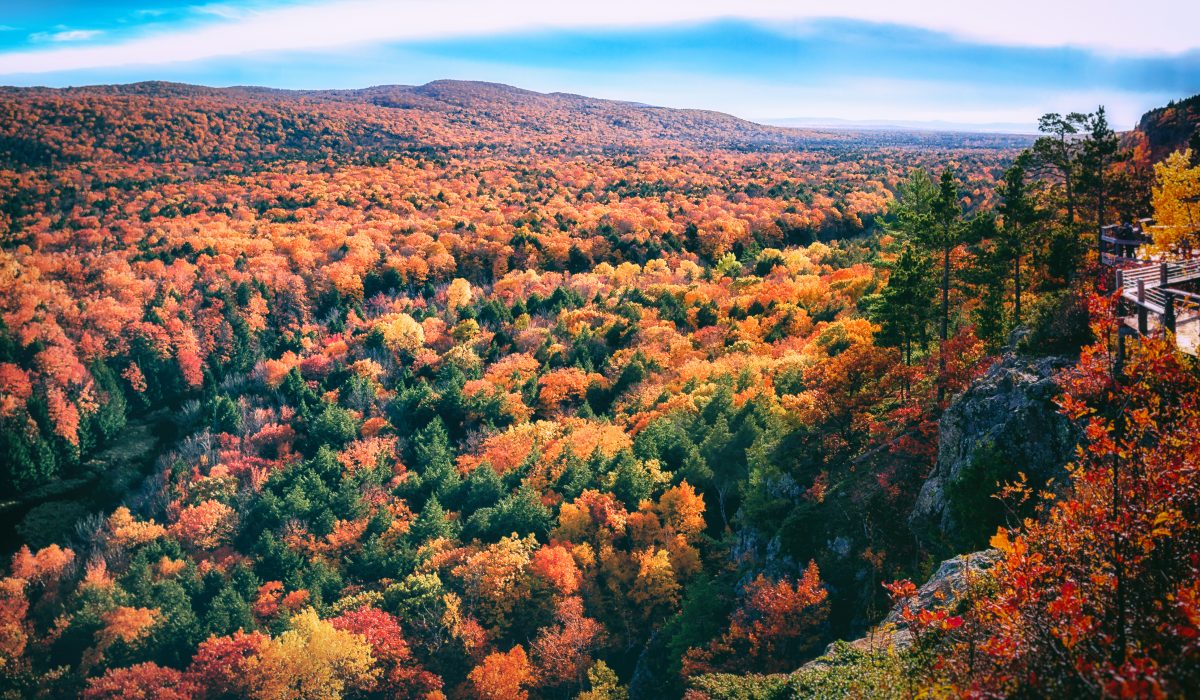 Autumn Valley Landscape in Northern Michigan.