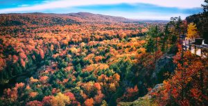 Autumn Valley Landscape in Northern Michigan.