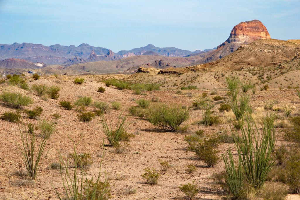 Chihuahan desert and Chisos mountains in the Big Bend National Park, West Texas, with Kit Peak in the background