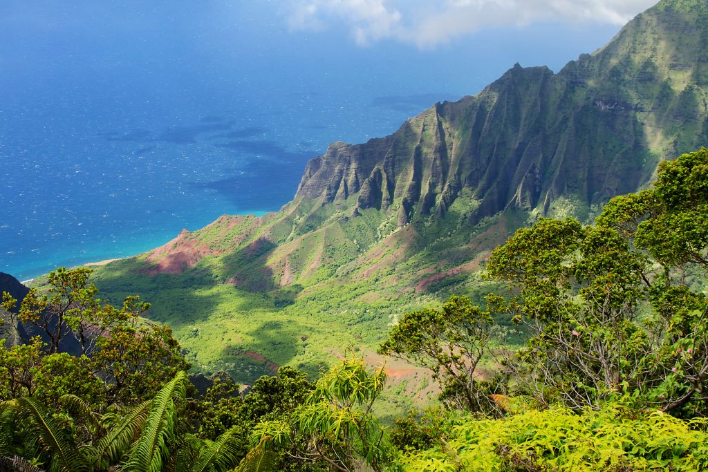 View of Kalalau Lookout at Kōkeʻe State Park, Hawaii