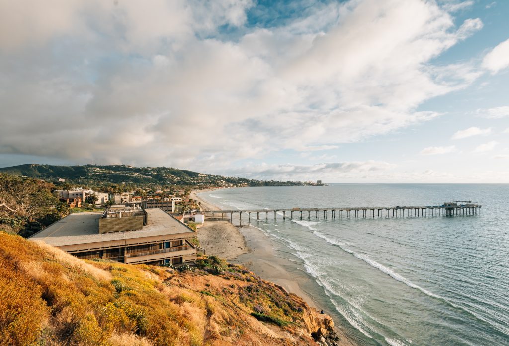 Landscape view of Scripps Park in San Diego