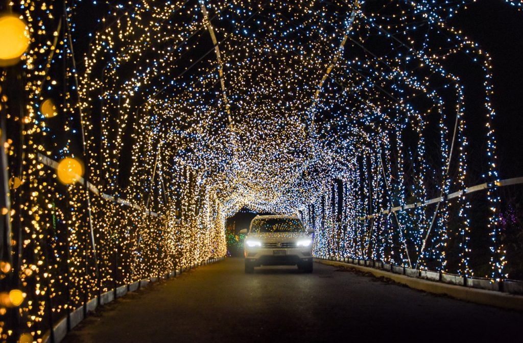 Car driving through the light tunnel in Gardens Aglow