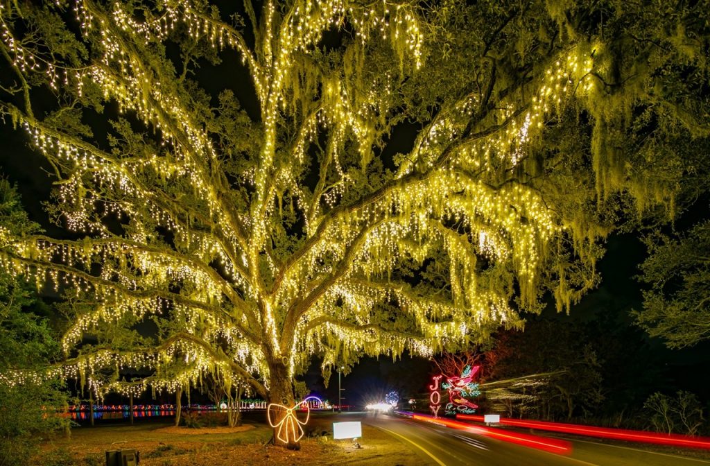 Large tree decorated at the drive thru Christmas lights in Holiday Festival of Lights