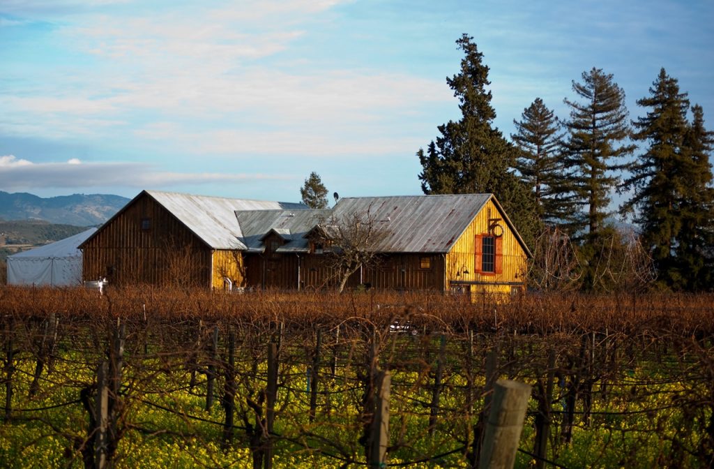 View of a winery and vineyard at Napa Valley in winter