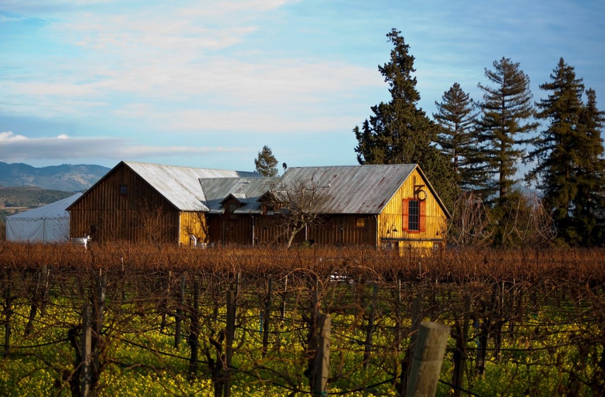 17 Best Places to Spend Christmas in California TouristSecrets