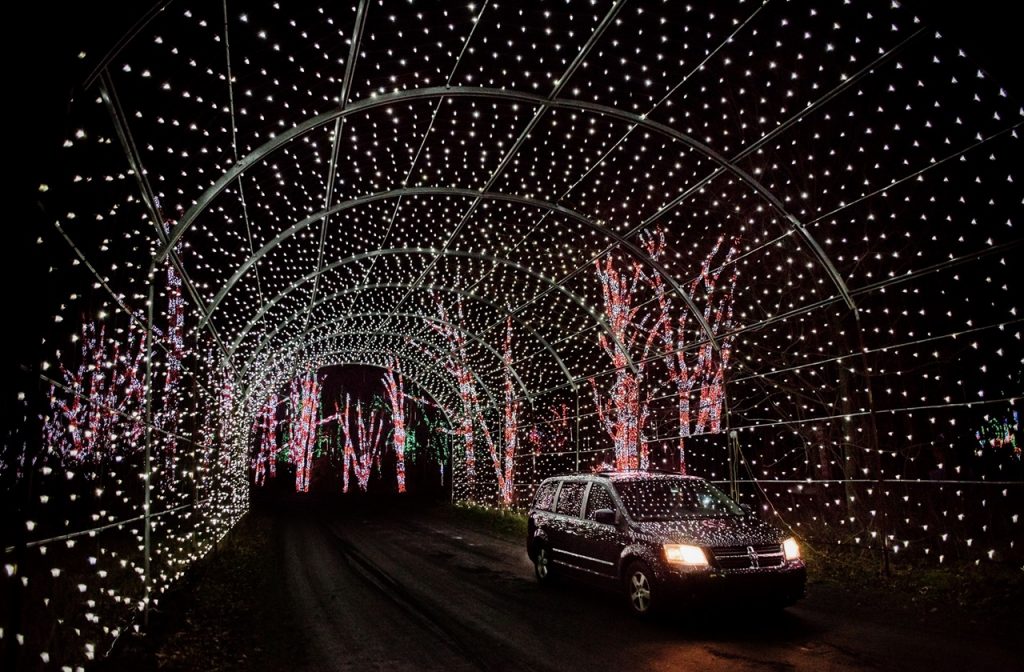 Colorful lights decorated around the tunnel and trees at Shady Brook Farm's drive thru Christmas lights