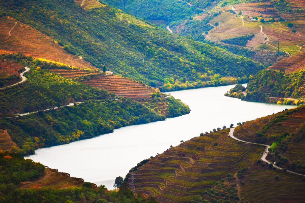 Wide shot of wine vineyards along the river in Douro valley with pleasant weather in Portugal in October. 