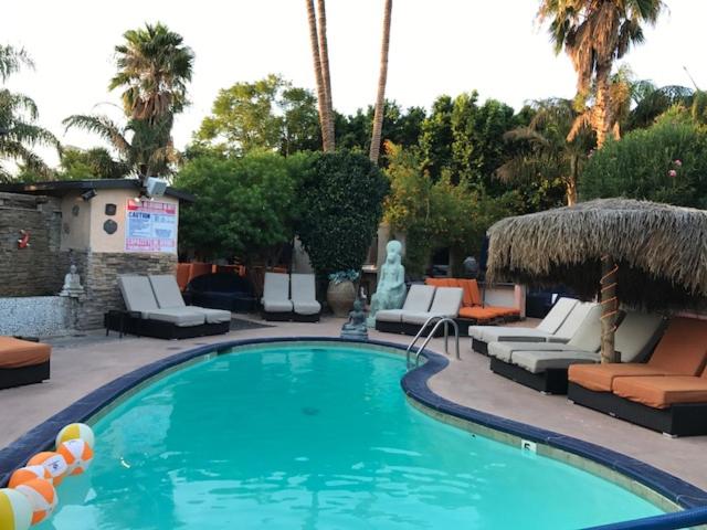 Swimming pool and lounge chairs at Sea Mountain Nude Resort and Spa.