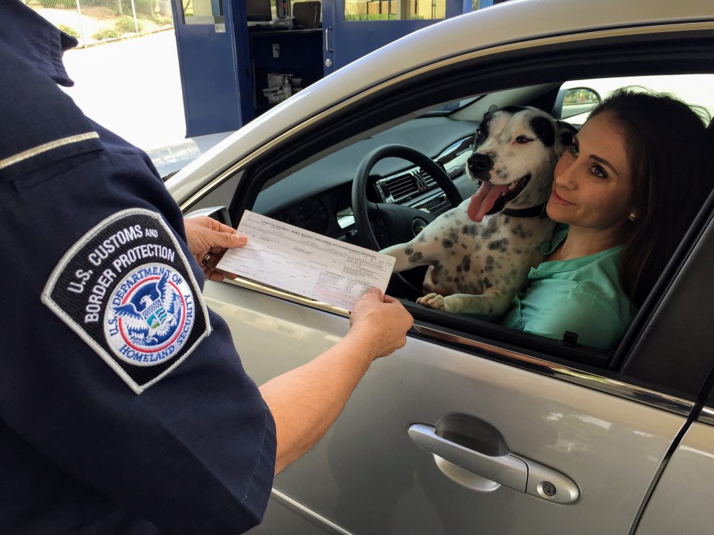 Woman holding a dalmatian inside a car as a U.S. Customs and Border Protection (CBP) officer checks her travel documents.