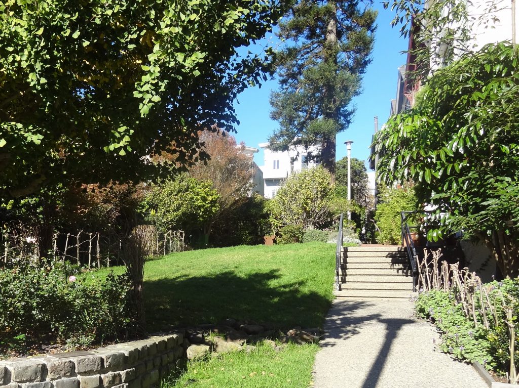 Pathway surrounded by greenery in Cottage Row, San Francisco.