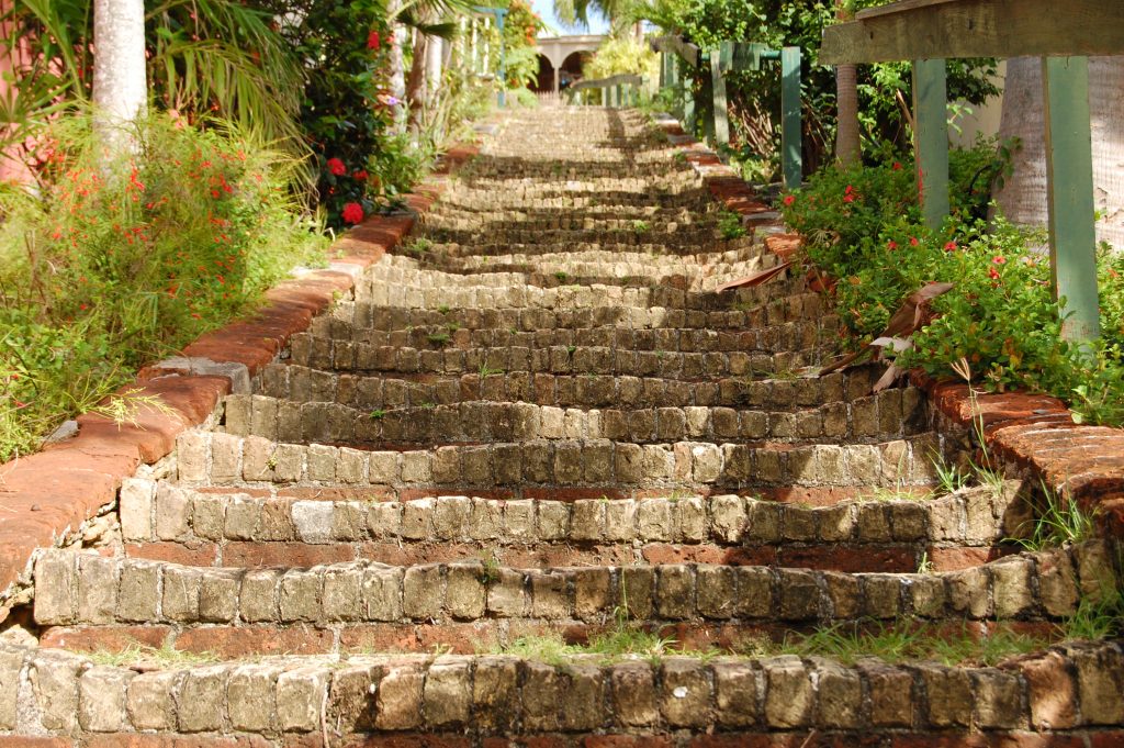 99 Steps in Charlotte Amalie surrounded by flowers and plants. 