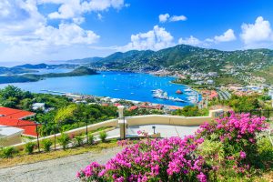 Panoramic view of St. Thomas island, with ships in Charlotte Amalie Bay.