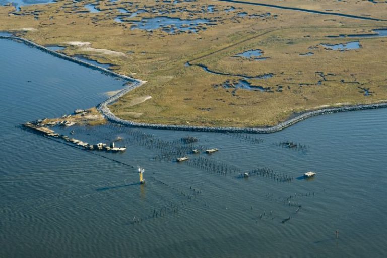 9 Beautiful Louisiana Beaches to Visit TouristSecrets