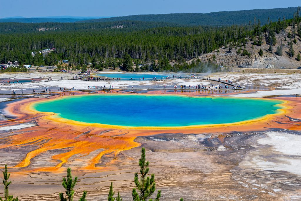 Wide shot of the Grand Prismatic Spring in Yellowstone National Park, one of the best places to visit in May in the USA.