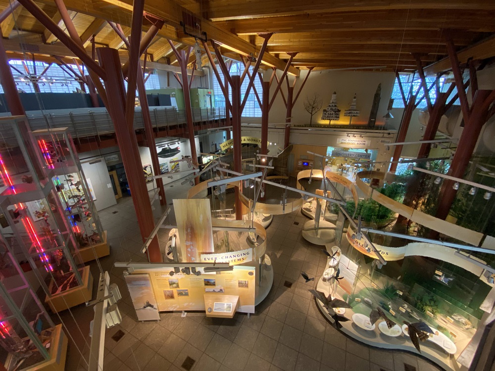 Perspective view of the exhibits at the Tom Ridge Environmental Center in Erie, PA. Perspective view of the exhibits at the Tom Ridge Environmental Center in Erie, PA.
