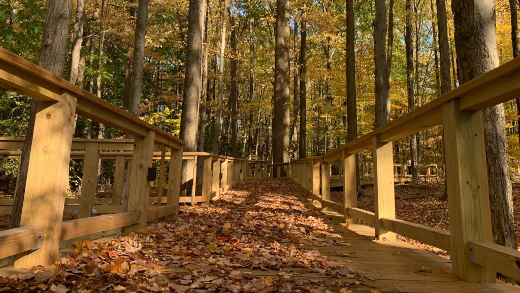 Mesmerizing view of a walking trail in Asbury Woods in Erie, PA during fall. Mesmerizing view of a walking trail in Asbury Woods in Erie, PA during fall.