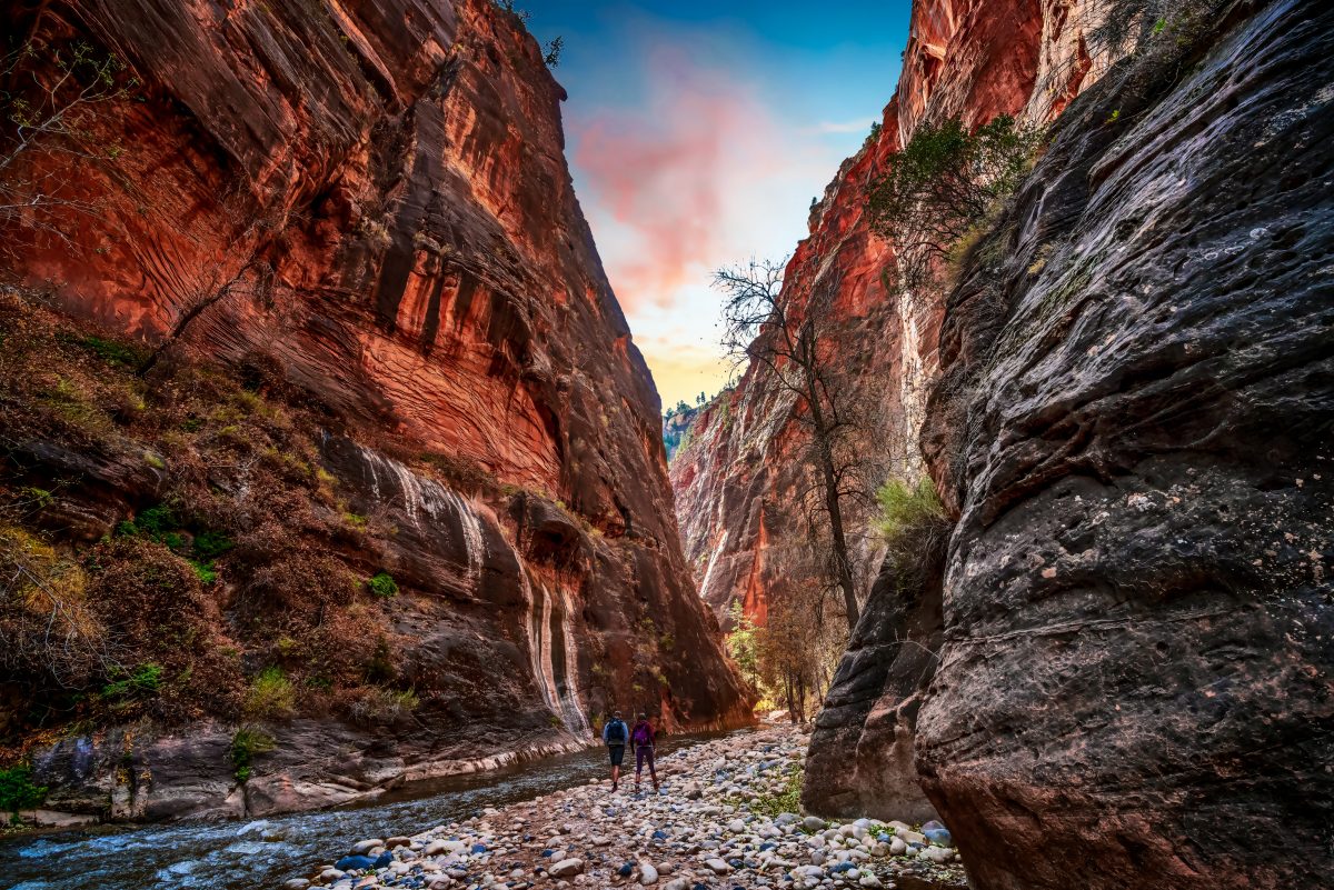 Best Time to Visit Zion National Park TouristSecrets