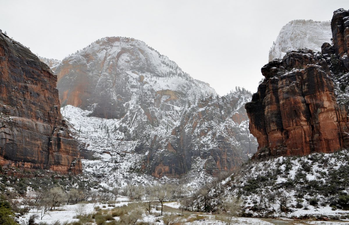 Best Time to Visit Zion National Park TouristSecrets