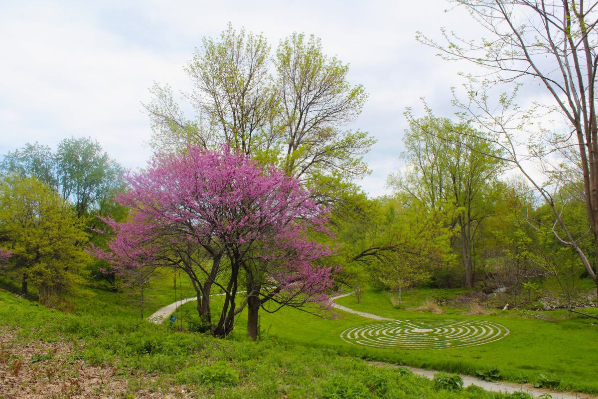 29 Things to Do in Erie, PA TouristSecrets