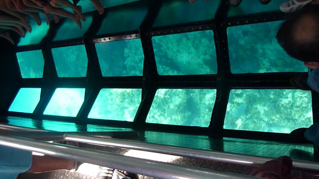 Coral reefs viewed behind the glass-bottom of a boat at the John Pennekamp State Park, Key Largo. Coral reefs viewed behind the glass-bottom of a boat at the John Pennekamp State Park, Key Largo.