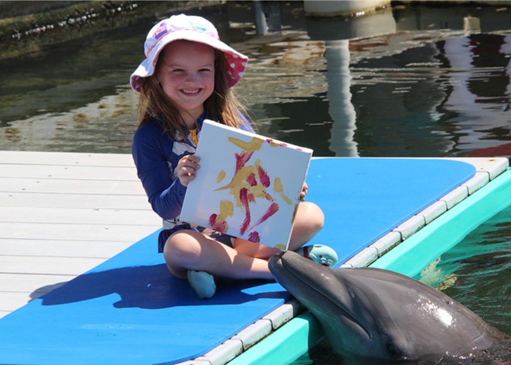 27 Best Things To Do In Key Largo paint with dolphins at dolphins plus bayside 1024x731 - 27 Best Things To Do In Key Largo