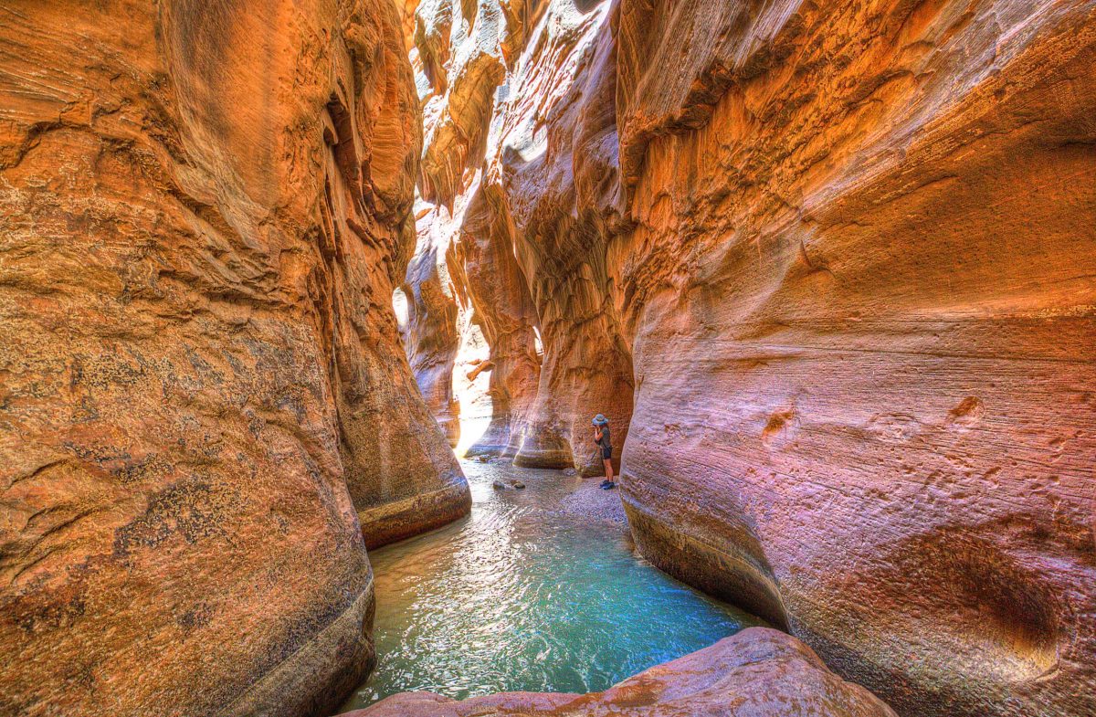 Best Time to Visit Zion National Park TouristSecrets