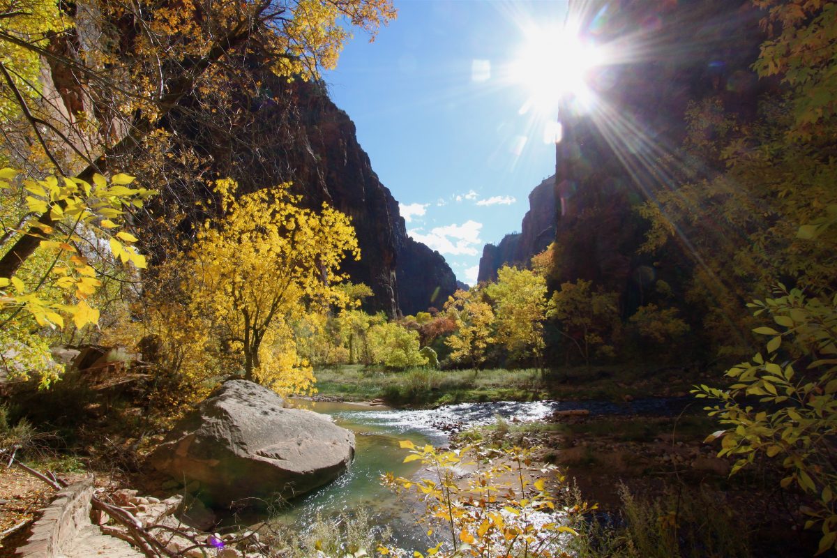 Best Time to Visit Zion National Park TouristSecrets